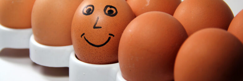 Unser neuer Seminarkatalog 2020 ist online - Neue Kurse rund um die erfolgreiche Bewerbung und eine effiziente Bewerberauswahl